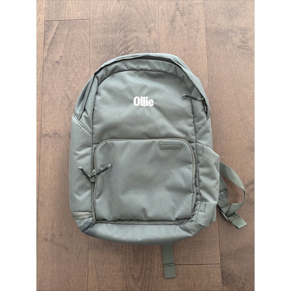 Brevite Green Everyday Backpack Polyester Laptop Bag Embroidered Used